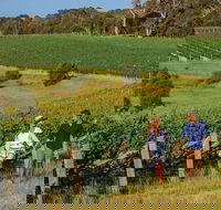 10 Day Perth to Adelaide Private Tour - The Great Australian Wilderness Journey - Sydney Tourism