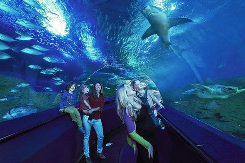 General Admission Entry At AQWA - Sydney Tourism 1