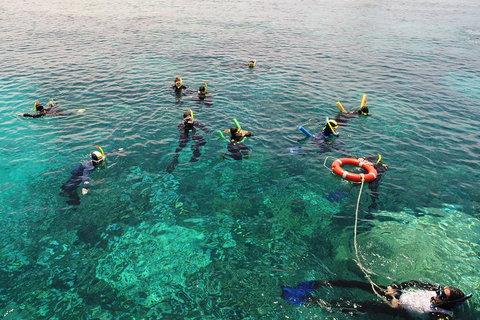 Seastar Luxury Outer Great Barrier Reef Island And Reef Tour From Cairns - Sydney Tourism 2