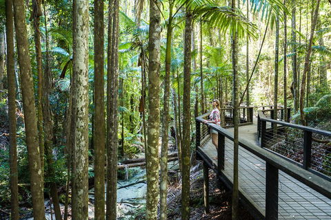 All-Inclusive Fraser Island Day Tour - Sydney Tourism 5