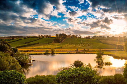 Josef Chromy Wines Winery Tour Including Tasting And Lunch - Sydney Tourism 3