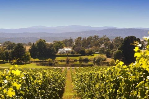 Josef Chromy Wines Winery Tour Including Tasting And Lunch - Sydney Tourism 4