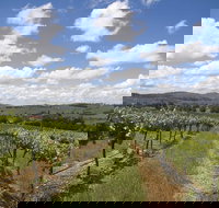 Hunter Valley Wine Tour from Sydney incl Lunch Cheese Chocolate and Distillery - Sydney Tourism