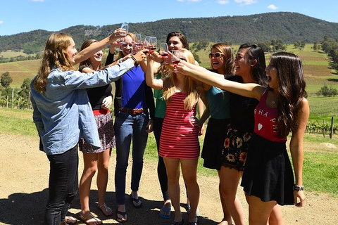 Hunter Valley Wine Tour From Sydney Incl Lunch, Cheese, Chocolate And Distillery - Sydney Tourism 3