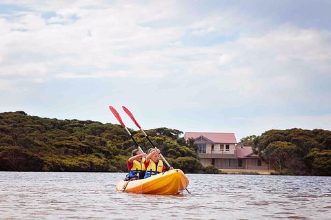 Kangaroo Island Self-Guided Kayaking On The Harriet River - Sydney Tourism 5