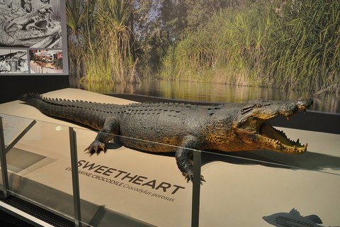 Explore Darwin City Sights Including Key Attractions - Sydney Tourism 2