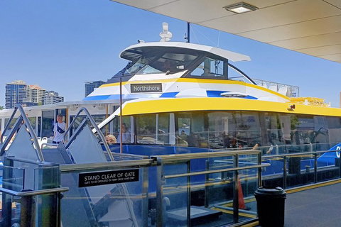 Brisbane City Essentials Walking Tour - Sydney Tourism 3