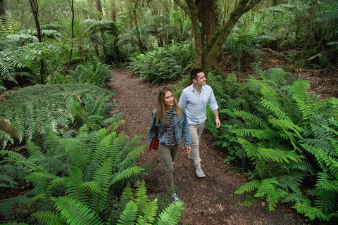 Great Ocean Road Full Coastal Tour - 3 Days, 2 Nights - Sydney Tourism 4
