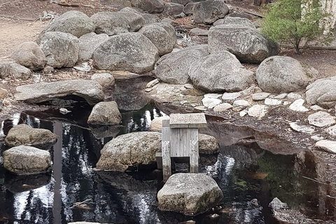 Bendigo, Echuca & The Mighty Murray - Sydney Tourism 1