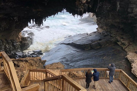 Kangaroo Island 4WD Tour - Best Of KI - Sydney Tourism 1