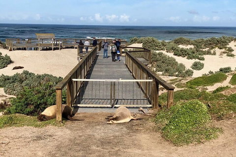 Kangaroo Island 4WD Tour - Best Of KI - Sydney Tourism 2