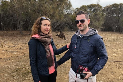 Kangaroo Island 4WD Tour - Best Of KI - Sydney Tourism 3